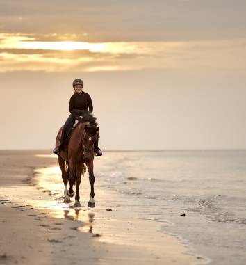 Frau reitet auf einem Pferd am Strand von Norderney